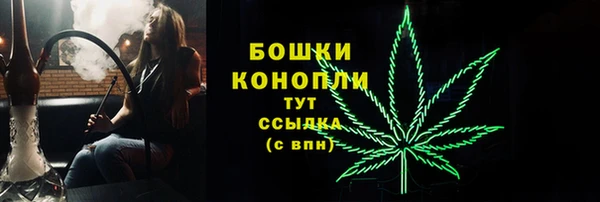 спиды Михайловка