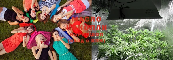 спиды Михайловка