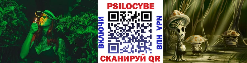 Купить закладки  Нововоронеж  Галлюциногенные грибы Psilocybe 